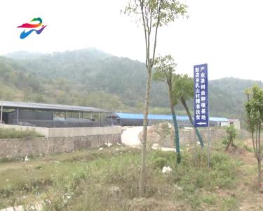 【走向我们的小康生活】乳山村：种植香菇促脱贫