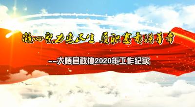 看看2020年大悟县政协在忙什么？
