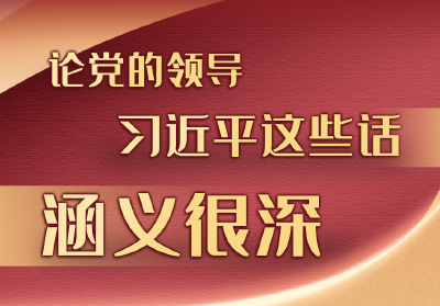 学习进行时丨论党的领导，习近平这些话涵义很深