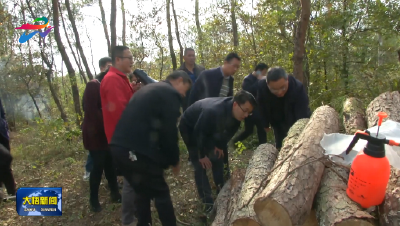 全县召开松材线虫病疫木除治工作推进会