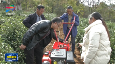 大悟县农业农村局举办茶园机械施肥现场培训