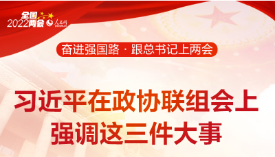 习近平在政协联组会上强调这三件大事