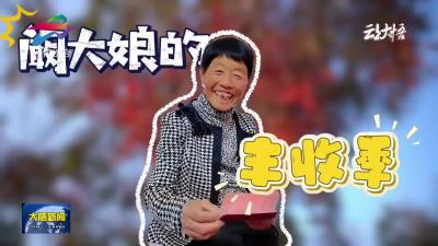 【记者在一线】阚大娘的丰收季
