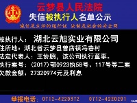 云梦县人民法院公开公布失信人员名单
