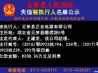 云梦县人民法院公开公布失信人员名单