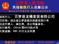 云梦县人民法院公开公布失信人员名单