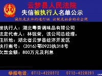 云梦县人民法院公开公布失信人员名单
