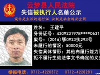 云梦县人民法院公开公布失信人员名单