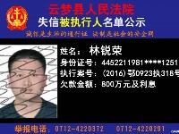 云梦县人民法院公开公布失信人员名单
