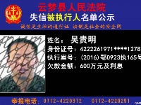 云梦县人民法院公开公布失信人员名单