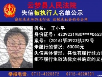 云梦县人民法院公开公布失信人员名单