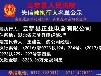 云梦县人民法院公开公布失信人员名单