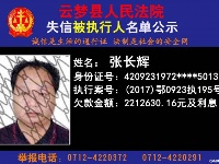 云梦县人民法院公开公布失信人员名单