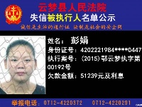 云梦县人民法院公开公布失信人员名单