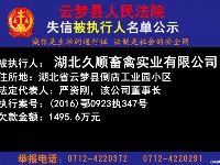 云梦县人民法院公开公布失信人员名单
