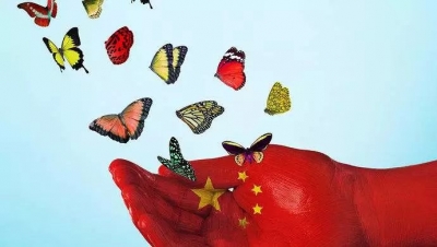 如何迎接改革开放40周年？ | 评论员观察