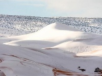 撒哈拉沙漠因降雪出现白沙丘奇观