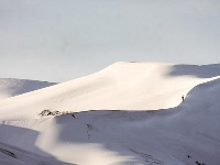 撒哈拉沙漠因降雪出现白沙丘奇观