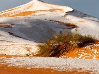 撒哈拉沙漠因降雪出现白沙丘奇观