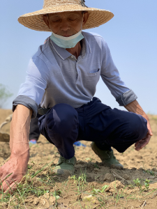 云梦：新建泵站解决灌溉难题