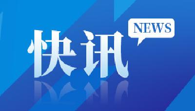 这幅长卷带你看总书记与湖北的故事