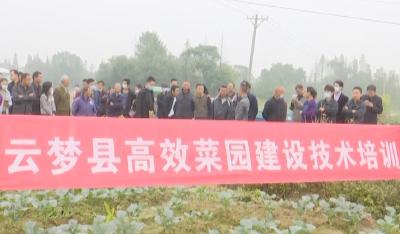 云梦县举办蔬菜病虫绿色防控现场观摩培训会