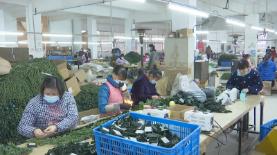 云梦：企业提供岗位 助力就近就业
