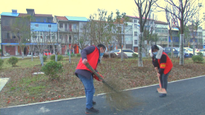 云梦：城关镇志愿清扫净化美丽家园