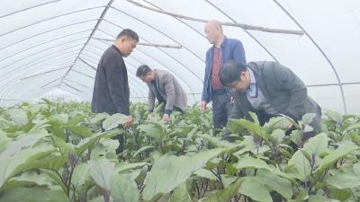 云梦县农业农村局荣获首届“湖北省食品安全突出贡献政府奖”