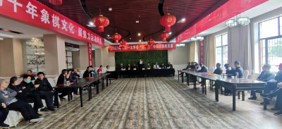 云梦县举办迎五一“稻丰杯”中国象棋精英赛