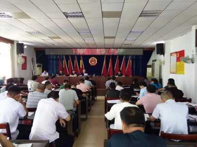 云梦下辛店镇：备战主汛护民安