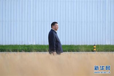 学习进行时丨谈到这个问题，习近平每句话都很重