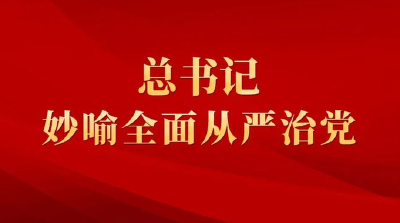 如何全面从严治党？习近平总书记用了这些妙喻