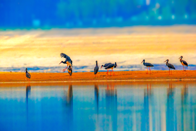 湿地上的城市，这就是武汉！