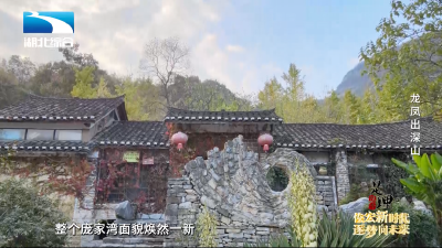 《是这个理》：龙凤出深山