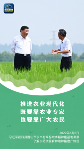 “经常到田间地头看一看”