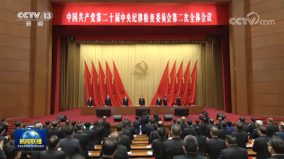 习近平在二十届中央纪委二次全会上发表重要讲话强调 一刻不停推进全面从严治党 保障党的二十大决策部署贯彻落实