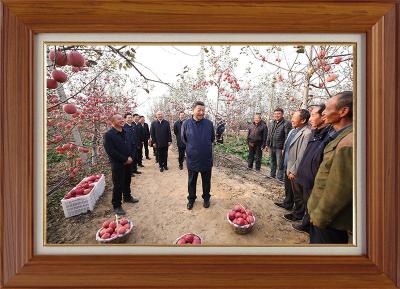 国际锐评丨2023，中国送给世界一份宝贵的新年礼物