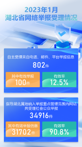 2023年1月湖北省网络举报受理情况