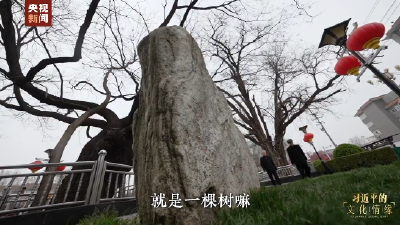 习近平的文化情缘丨正定古今