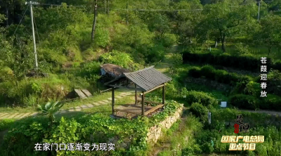 《是这个理》：苍葭迎春放