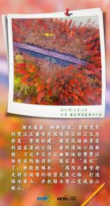 联播+丨跟着总书记守护“地球之肾”