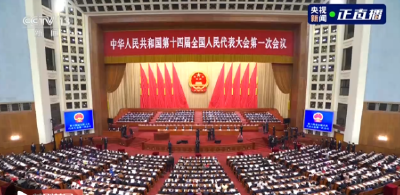 独家视频丨习近平出席十四届全国人大一次会议第二次全体会议