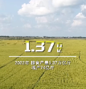 7个字，但又不止7个字！
