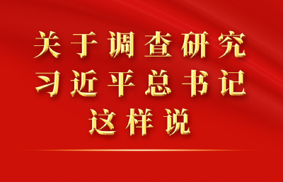 关于调查研究，习近平总书记这样说