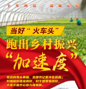 十年两会·温暖记忆｜“当好‘火车头’，跑出乡村振兴‘加速度’！”