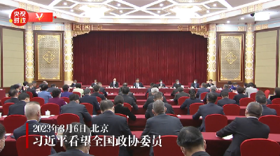 独家视频丨习近平看望全国政协委员
