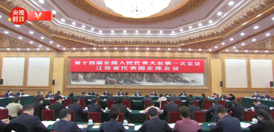 独家视频丨习近平参加江苏代表团审议