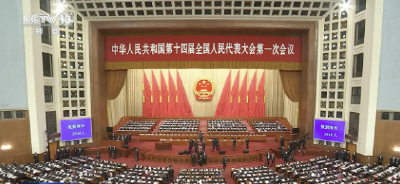 十四届全国人大一次会议在京开幕