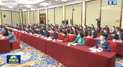 习近平在看望参加政协会议的民建工商联界委员时强调 正确引导民营经济健康发展高质量发展